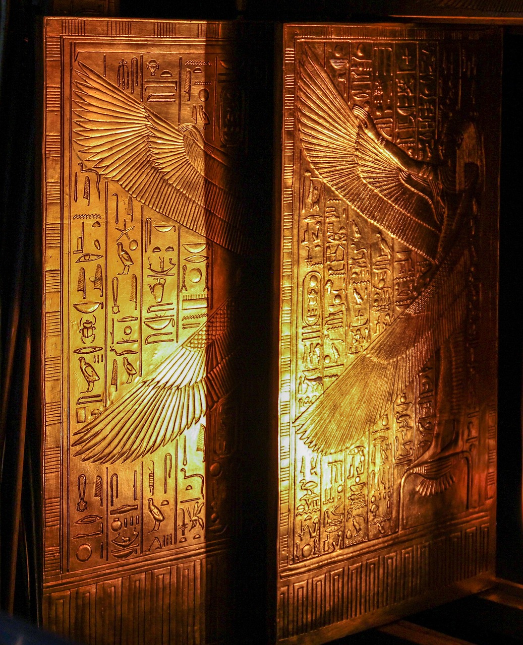 trip image