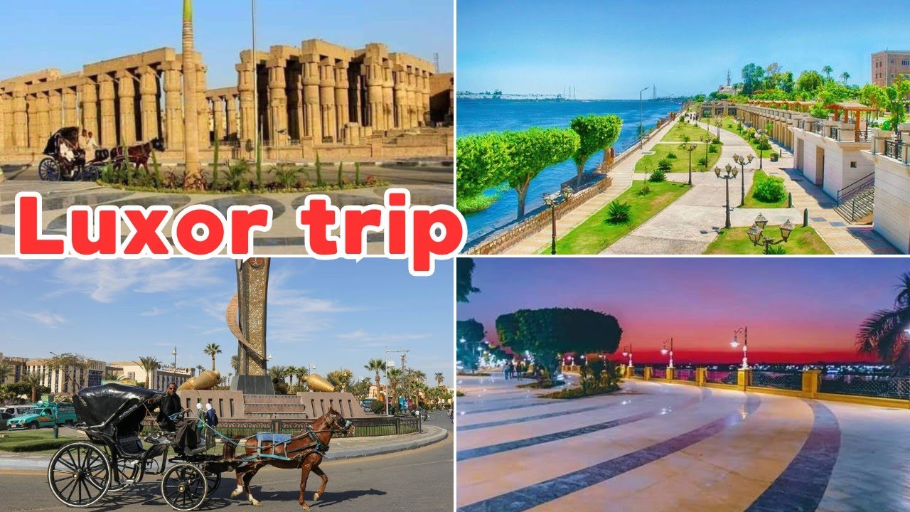 trip image