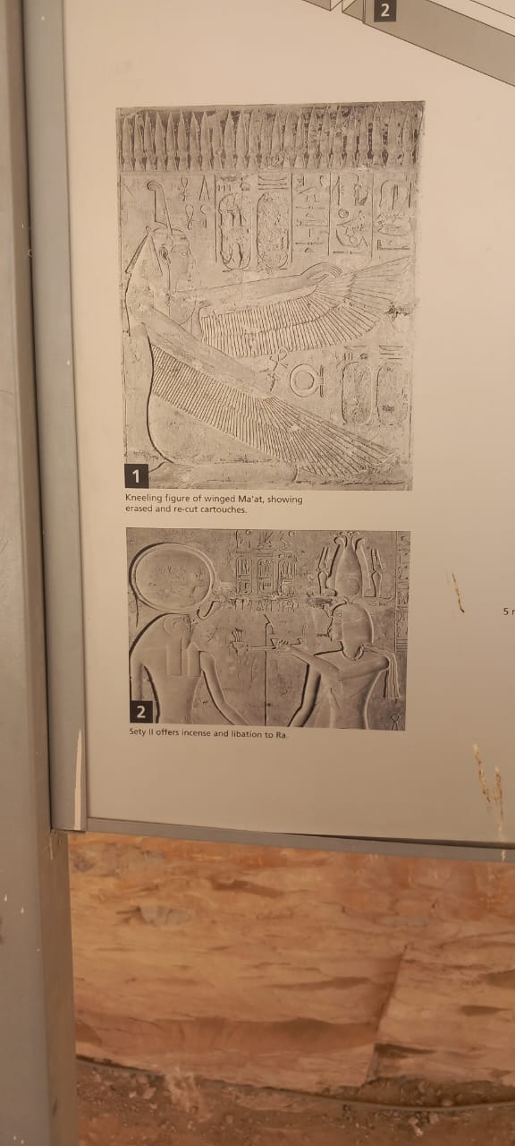 trip image