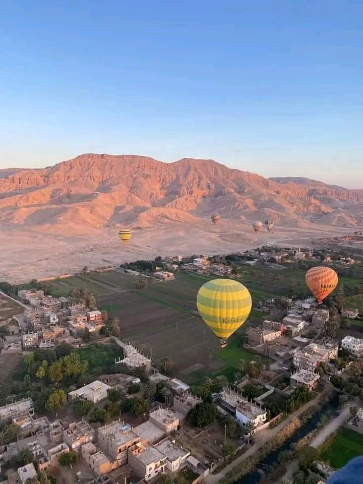 trip image