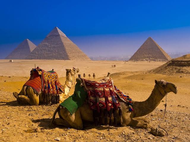 trip image